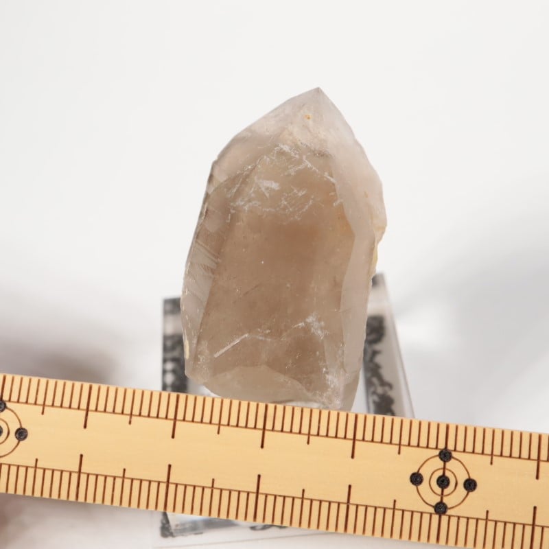 Maple Lode鉱山 煙水晶 | 鉱物標本,サ行,スモーキークォーツ/煙