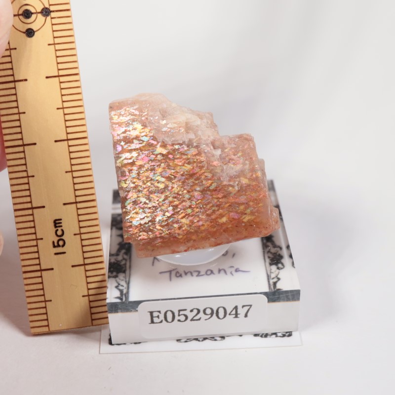 タンザニア産 レインボーラティスサンストーン | 鉱物標本,タ行