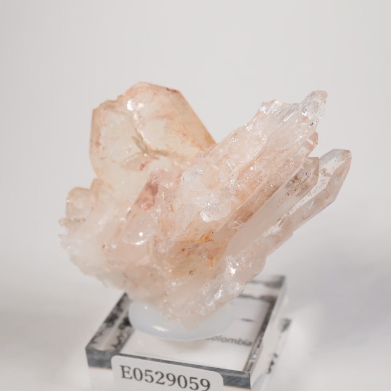 コロンビア産 ピンクリチウム水晶 | 鉱物標本,カ行,クォーツ