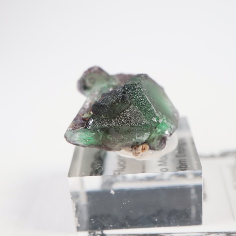 エロンゴ鉱山 フローライト | 鉱物標本,ハ行,フローライト/蛍石