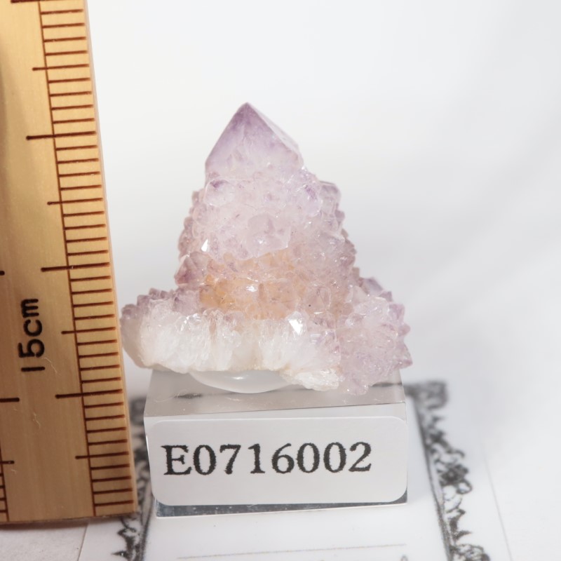 南アフリカ産 カクタス水晶 | 鉱物標本,カ行,クォーツ/水晶 | ほたるみ