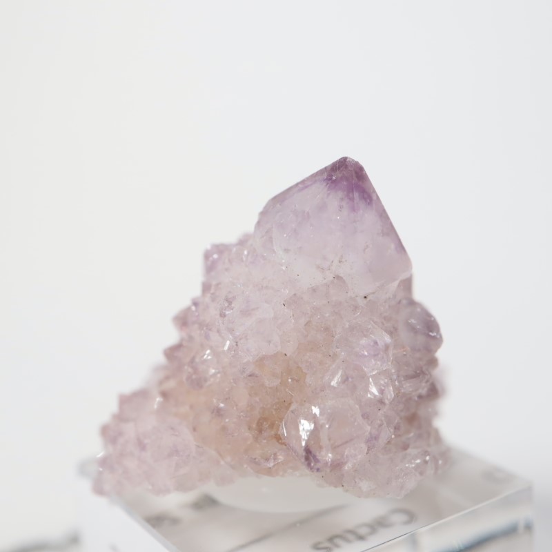 南アフリカ産 カクタス水晶 | 鉱物標本,カ行,クォーツ/水晶 | ほたるみ