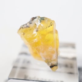 �ޥ��������뻺 �����������ѡ���