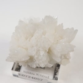 �����ꥢ�������쥹�ƥ���ʥ��쥹�����ȡ�