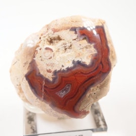 �ᥭ����������������