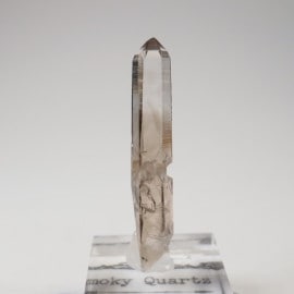 �˥塼�ᥭ�����������⡼������������