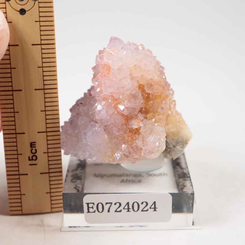 南アフリカ産 カクタス・クォーツ | 鉱物標本,カ行,クォーツ/水晶
