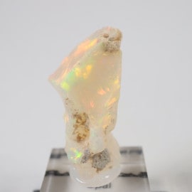 �������ԥ��� ���ѡ���