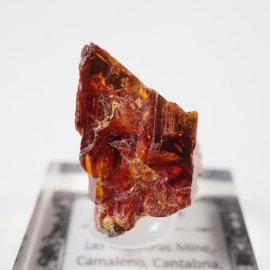 ���ڥ��� ���ե���饤��