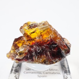 ���ڥ��� ���ե���饤��