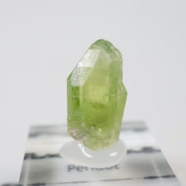 �ѥ������� �ڥ�ɥå�