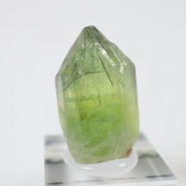 �ѥ������� �ڥ�ɥå�