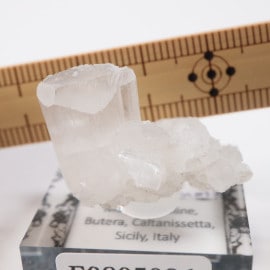 �����ꥢ�� ����