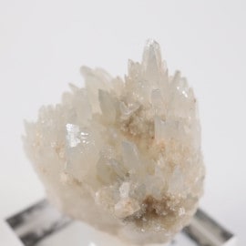 �����ꥢ�� ���쥹�ƥ���