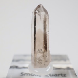 �˥塼�ᥭ�������� ��徽