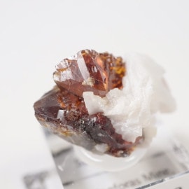 ���ڥ��� ���ե���饤��