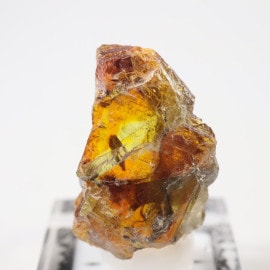 ���ڥ��� ���ե���饤��