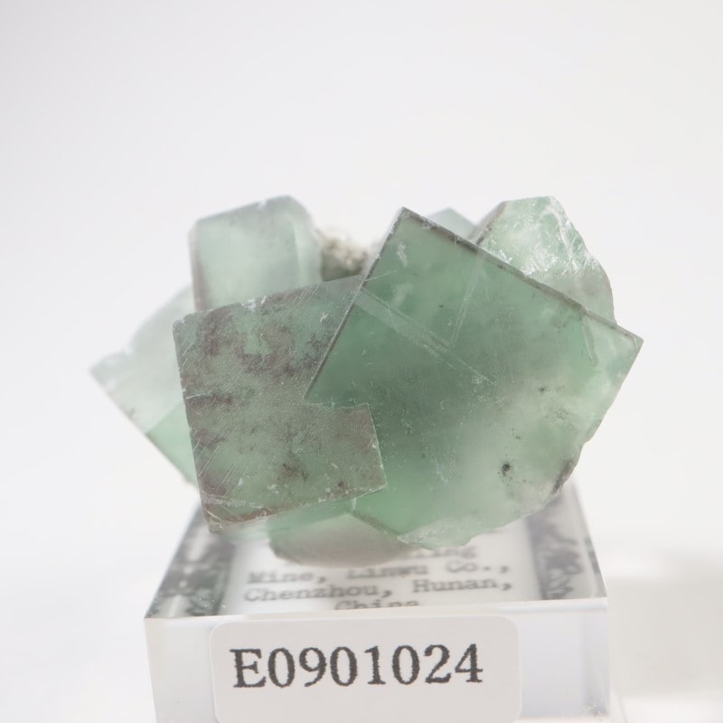 【鉱物標本】フローライト 蛍石 原石 中国産 中国産 フローライト | 鉱物標本,ハ行,フローライト/蛍石,フロー