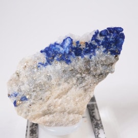 �ѥ������� ��ԥ��饺��