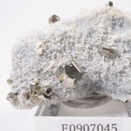 �ڥ롼�� �ѥ��饤��