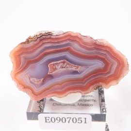 �ᥭ������ �饰�ʥ�������