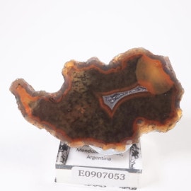 ���를����� ����ɥ륢������