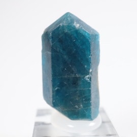 �֥饸�뻺 �ճ���