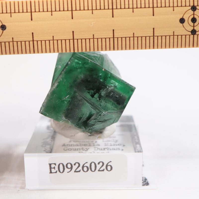Lady Anabella Fairy Holes Pocket フローライト Fluorite- Fairy Holes Pocket, Lady Annabella, Co Durham