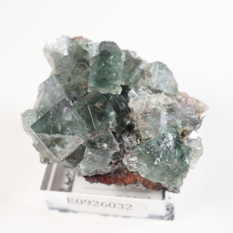 へレンズポケット産 フローライト | 鉱物標本,ハ行,フローライト/蛍石