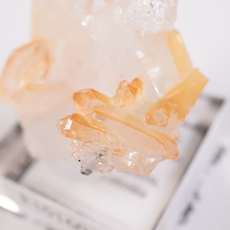 コロンビア産 マンゴークォーツ | 鉱物標本,カ行,クォーツ/水晶