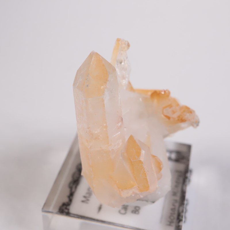 コロンビア産 マンゴークォーツ | 鉱物標本,カ行,クォーツ/水晶