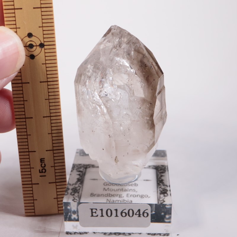 ブランドバーグ産 水入り水晶 | 鉱物標本,カ行,クォーツ/水晶 | ほたる 