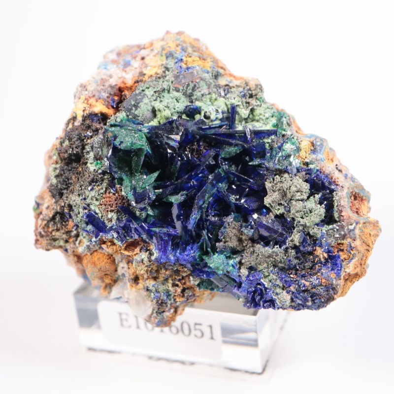 アズライト Azurite 鉱物標本 鉱物標本 アズライト(Azurite) 展示中 in Museum of mahaltaji