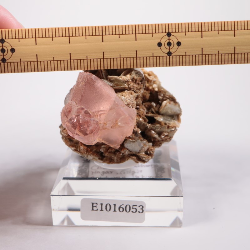 激レア！パキスタン バロチスタン州産 大き目オイルインフローライト3 激レア！パキスタン バロチスタン州産 大き目オイルインフローライト3