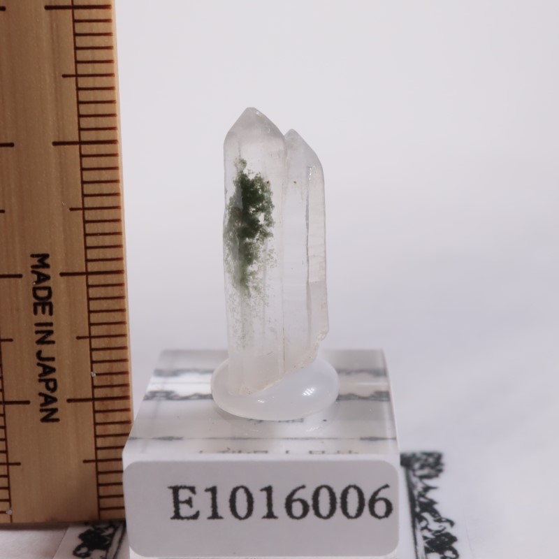 バッタリ鉱山 水晶 | 鉱物標本,カ行,クォーツ/水晶 | ほたるみねらる