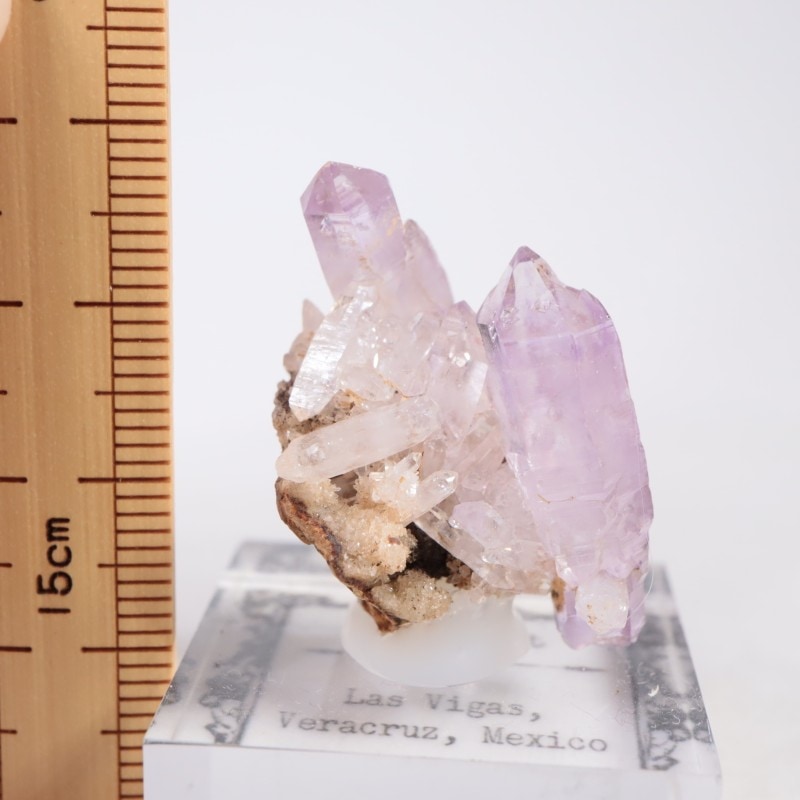 鉱物標本　ベラクルス産アメシスト　ミニチュアサイズ ベラクルス産 アメシスト | 鉱物標本,ア行,アメシスト/紫水晶 | ほたる