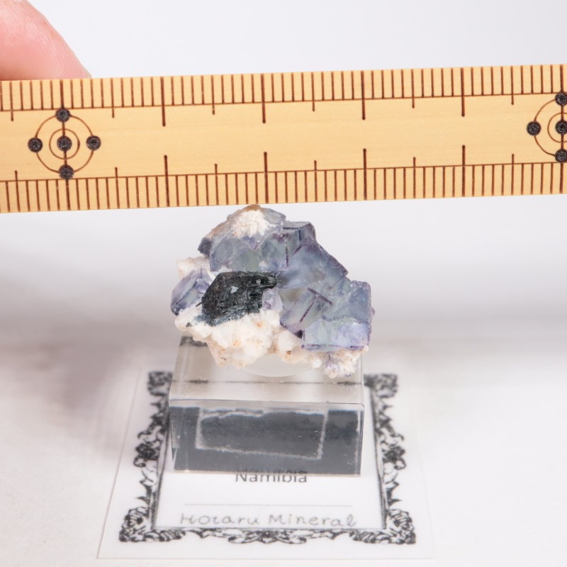 エロンゴ鉱山産 フローライト | 鉱物標本,ハ行,フローライト/蛍石