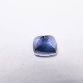 �������饤�ȡ����奬�������ե��å�5��