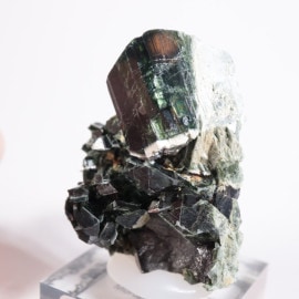 ���󥶥˥��� �������Υ饤��