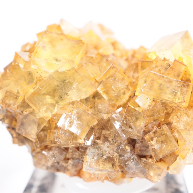 【鉱物標本】フローライト ヒルトン 原石 イギリス産 イギリス Hilton Mine産 フローライト – 天然石ハッピーギフト