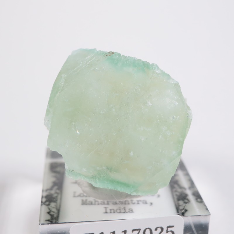 インド産 アポフィライト | 鉱物標本,ア行,アポフィライト/魚眼石  