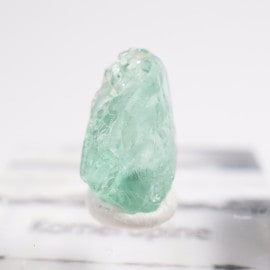 ���󥶥˥��� �����ͥ�ԥ�