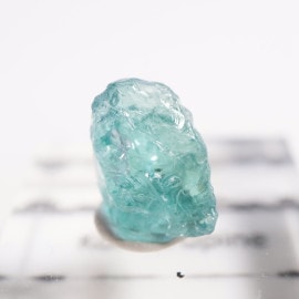 ���󥶥˥��� �����ͥ�ԥ�