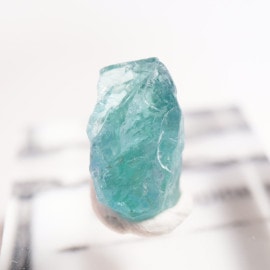 ���󥶥˥��� �����ͥ�ԥ�