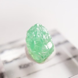 ���󥶥˥��� �����ͥ�ԥ�