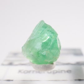 ���󥶥˥��� �����ͥ�ԥ�