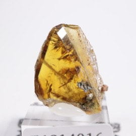 �ѥ������� ���ե���ʥ����ʥ��ȡ�