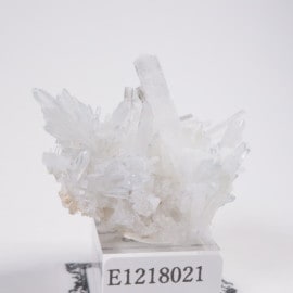 �����ꥢ�� ���쥹�ƥ���