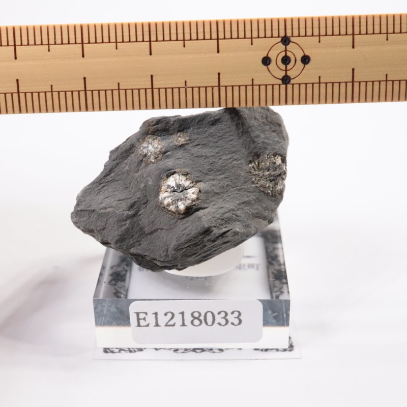 群馬県産 桜石 | 鉱物標本,その他の鉱物 | ほたるみねらる