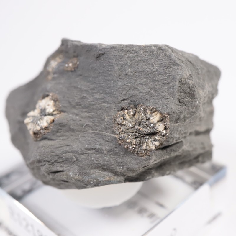 群馬県産 桜石 | 鉱物標本,その他の鉱物 | ほたるみねらる